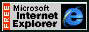 Microsoft Internet Explorer